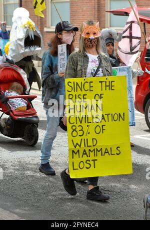 Leicester, Leicestershire, Großbritannien 29. Mai 2021. UK News. Im Stadtzentrum von Leicester findet ein Extinction Rebellion march statt. Alex Hannam/Alamy Live News Stockfoto