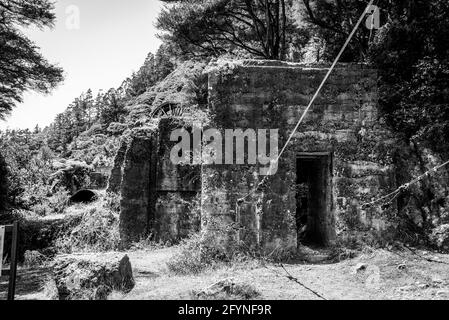 Überreste einer alten Stempelbatterie in Karangahake aus der vergangenen Goldrauschzeit, Coromandel Peninsula, Neuseeland Stockfoto