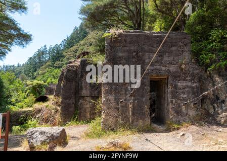 Überreste einer alten Stempelbatterie in Karangahake aus der vergangenen Goldrauschzeit, Coromandel Peninsula, Neuseeland Stockfoto