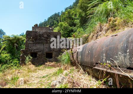 Überreste einer alten Stempelbatterie in Karangahake aus der vergangenen Goldrauschzeit, Coromandel Peninsula, Neuseeland Stockfoto