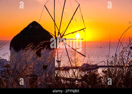 Berühmte traditionelle griechische Windmühle, Mykonos, Griechenland gegen Sonnenuntergang. Schöner Himmel, Sonne berühren Meereshorizont, hohes Gras im Vordergrund, buntes Bild. Stockfoto