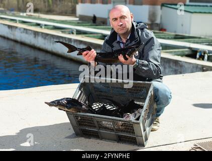 Stolz männliche Inhaber der Fischzucht in der Nähe von Pools mit frischen Störe in den Händen Stockfoto