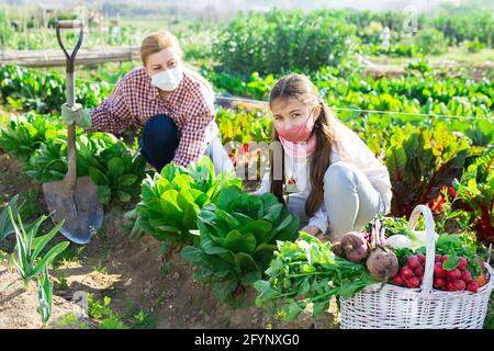 Porträt einer jungen Frau mit einem Mädchen im Teenageralter in Schutzmasken, die während der Pandemie im Garten arbeitete Stockfoto