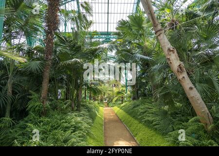 Brüssel, Belgien, 28. Mai 2021: Von Alphonse Balat 1873 entworfene Gewächshäuser im klassischen Stil mit Pavillons, Kuppeln und Galerien. Stockfoto