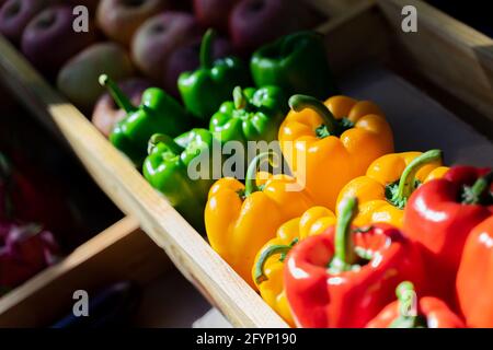 Rote, grüne und gelbe Paprika in der Gemüsekiste auf dem Markt. Stockfoto