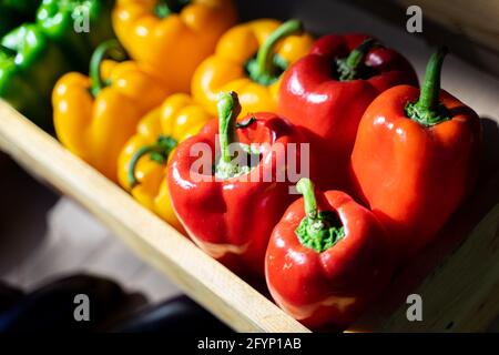 Rote, grüne und gelbe Paprika in der Gemüsekiste auf dem Markt. Stockfoto