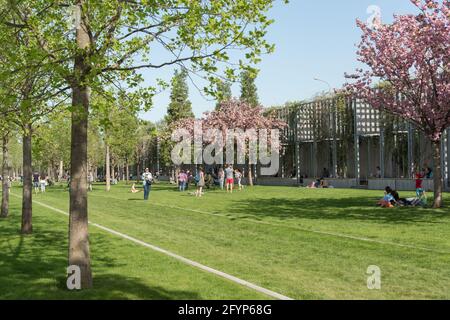 Krasnodar, Russland-Mai 02, 2021:Menschen entspannen sich auf dem Rasen im beliebten Stadtpark Krasnodar. Frisches Frühlingsgrün der Natur Stockfoto