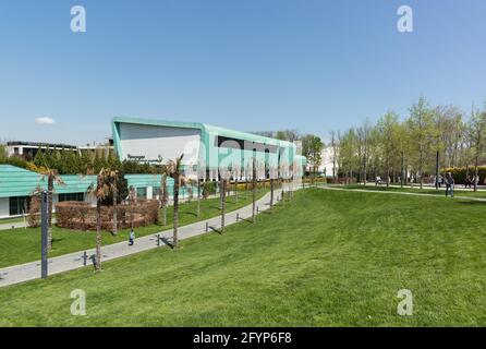 Krasnodar, Russland-02. Mai 2021: Getrocknete Palmen und ein Frühlingsrasen im Park. Grünes Gebäude der Childrens Football Academy Stockfoto