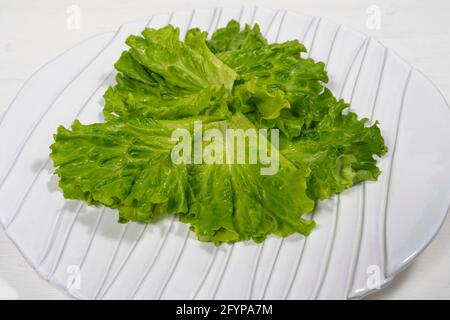 Grüne Salatblätter auf einem weißen Gericht. Stockfoto