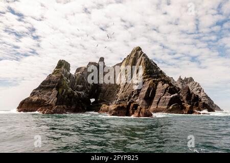 Skelli Beog (Kleiner Skellig). Eines der Skeleg Rocks, vor der Küste von County Kerry, Irland Stockfoto