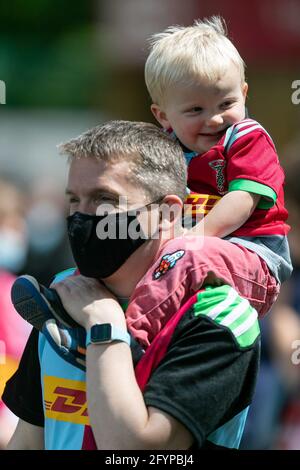 LONDON, GROSSBRITANNIEN. 29. MAI: Harlekine-Fans während des Spiels der Gallagher Premiership zwischen Harlekins und Bath Rugby in Twickenham Stoop, London am Samstag, 29. Mai 2021. (Kredit: Juan Gasparini, MI News) Kredit: MI Nachrichten & Sport /Alamy Live Nachrichten Stockfoto