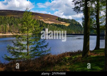 Gritstone liegt am Derwent Reservoir and Dam, Ladybower, Peak District, Derbyshire, Großbritannien Stockfoto