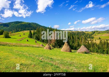 Ländliche Landschaft mit Heuhaufen auf dem Hügel. Felder und Wiesen in den Bergen. Wunderbare landschaft der karpaten an einem hellen septembertag. Wolke Stockfoto