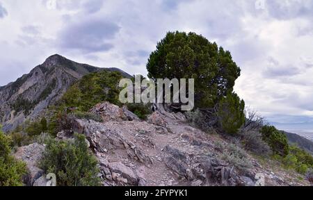 Blick auf den Naturwanderweg Mount Mahagoni, die Ausläufer des Mt. Timpanogos, die Wasatch Front Rocky Mountains, von Orem und Provo, Utah. Usa. Stockfoto