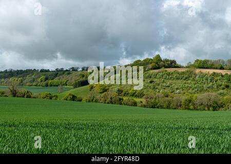 Blick auf die Landschaft in der Meon Vally in der Nähe von West Meon im Mai, Hampshire, England, Großbritannien Stockfoto