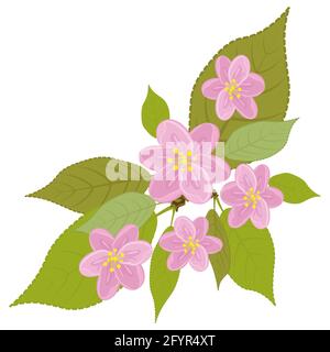 Ein Blumenkranz aus rosa Blüten mit Blättern. Von Hand gezeichnet. Kirschblüten Stockfoto