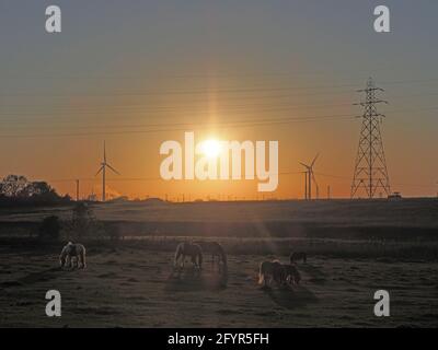 Sheerness, Kent, Großbritannien. Mai 2021. UK Wetter: Sonnenuntergang in Sheerness, Kent. Kredit: James Bell/Alamy Live Nachrichten Stockfoto