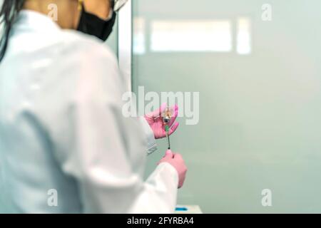 Ärztin, die den Impfstoff auf Kovid19 vorbereitet Stockfoto