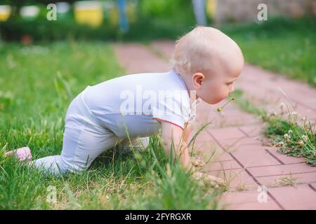 Das Baby kriecht auf dem grünen Gras. Kinder in weißen Kleidern im Freien lernen zu kriechen. Kleinkinder laufen im Sommer im Hinterhof von zu Hause Stockfoto