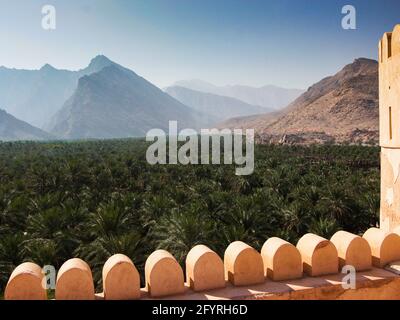 Ein riesiger Dattelpalmenhain breitet sich über das Tal aus. Am alten, alten, restaurierten Fort Nakhal entlang der Rustaq-Route. Im Oman. Stockfoto