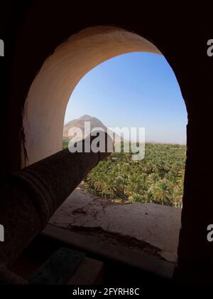 Ein Kanon durch ein Fenster mit Blick auf einen großen Hain von Dattelpalmen. Am alten, alten, restaurierten Fort Nakhal entlang der Rustaq-Route. Im Oman. Stockfoto