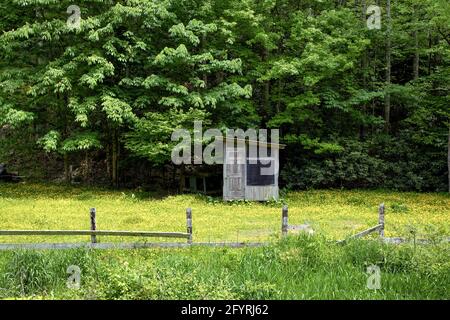 Ein blühendes Feld und Schuppen im Land in der Nähe von Valle Crucis, North Carolina. Stockfoto