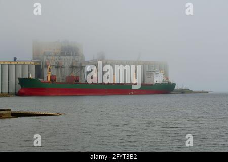 An einem nebligen Frühlingstag in Thunder Bay, Ontario, Kanada, wird ein Schiff mit Getreide beladen, um zu überseeischen Märkten zu transportieren. Stockfoto