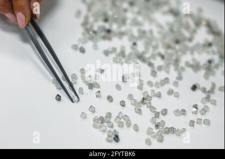 Manuelle Sortierung von Diamanten. Eine Hand mit Pinzette überträgt Diamanten von einem Stapel auf einen anderen. Stockfoto