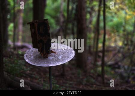Ein zerbrochenes Vogelhaus aus Holz auf einem Metallständer im Wald Stockfoto
