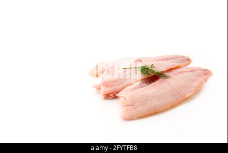 Tilapia raw auf weißem Hintergrund Stockfoto