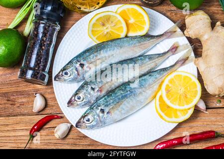 Runder Scad Fisch Stockfoto