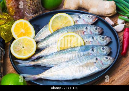 Runder Scad Fisch Stockfoto