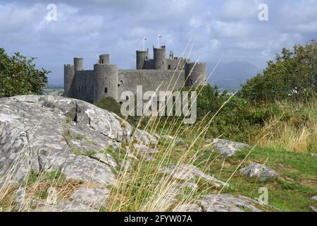 Harlech Castle und Cross Stockfoto