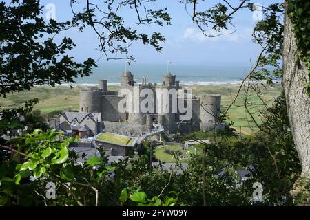 Harlech Castle und Cross Stockfoto