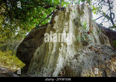 Eine Nahaufnahme eines großen Ameisenhügels oder Termitenhügels im Wald. Das hügelige Nest, das Ameisen aus Schmutz oder Sand bauen, wird als Ameisenhaufen bezeichnet. Sie können ca. Stockfoto