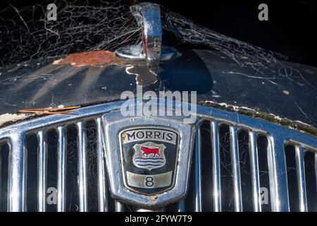 Oldtimer der Morris 8 Series E in Otira, in der Nähe des Arthurs Pass, Canterbury, Südinsel, Neuseeland Stockfoto