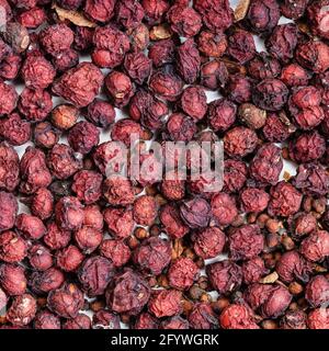 Quadratische Nahrung Hintergrund - getrocknete Magnolienbeeren (Schisandra chinensis Früchte) Nahaufnahme Stockfoto