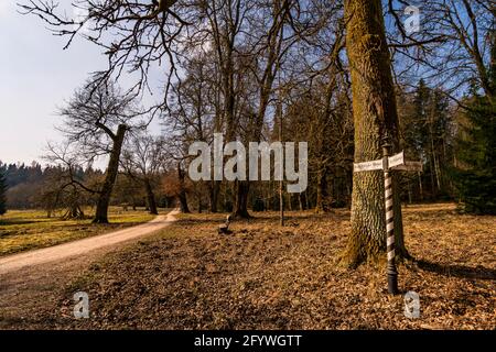 Frühlingswanderung durch den Wildpark Josefslust bei Sigmaringen, dem Jagdgebiet der Hohenzollern Fürsten Stockfoto