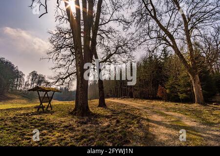 Frühlingswanderung durch den Wildpark Josefslust bei Sigmaringen, dem Jagdgebiet der Hohenzollern Fürsten Stockfoto