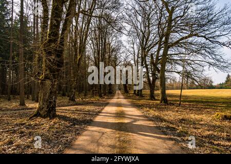 Frühlingswanderung durch den Wildpark Josefslust bei Sigmaringen, dem Jagdgebiet der Hohenzollern Fürsten Stockfoto