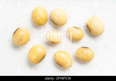 Mehrere rohe getrocknete Sojabohnen schließen auf einer grauen Keramikplatte Stockfoto