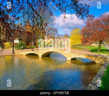 Großbritannien, England, Cotswolds, Burton-on-the-Water, River Windrush, Feder Stockfoto