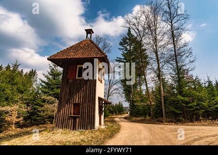 Frühlingswanderung durch den Wildpark Josefslust bei Sigmaringen, dem Jagdgebiet der Hohenzollern Fürsten Stockfoto