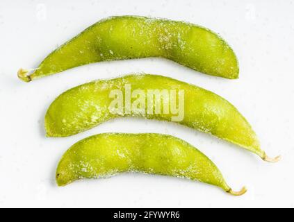 Mehrere gefrorene Edamame (unreife Sojabohnen) Die Pads schließen sich auf der grauen Keramikplatte an Stockfoto