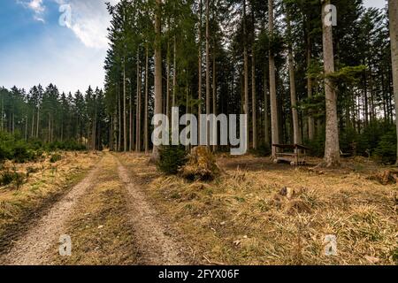 Frühlingswanderung durch den Wildpark Josefslust bei Sigmaringen, dem Jagdgebiet der Hohenzollern Fürsten Stockfoto