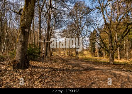 Frühlingswanderung durch den Wildpark Josefslust bei Sigmaringen, dem Jagdgebiet der Hohenzollern Fürsten Stockfoto