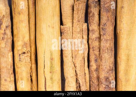 Hintergrund des Essens - mehrere Sticks mit kontinentalem ceylon-Zimt Stockfoto