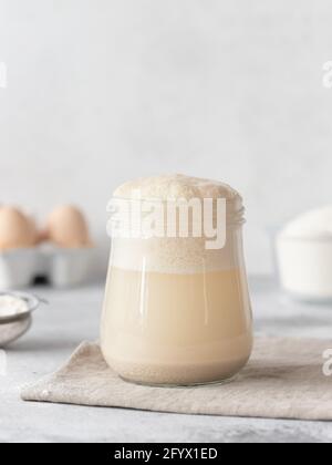 Hausgemachter Sauerteig Hefe Starter sprudelt in Glas, Sieb, Eier, Schüssel mit Mehl Stockfoto