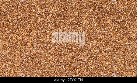 Panorama-Food-Hintergrund - ungekochte Vollkorn-Teff-Samen aus der Nähe Stockfoto