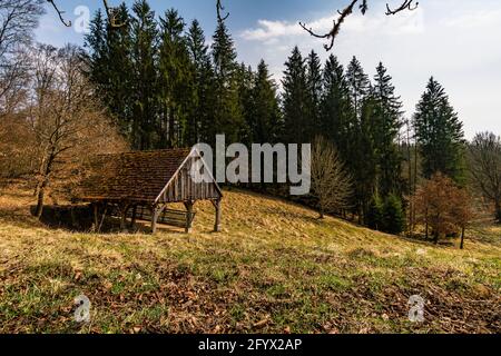 Frühlingswanderung durch den Wildpark Josefslust bei Sigmaringen, dem Jagdgebiet der Hohenzollern Fürsten Stockfoto